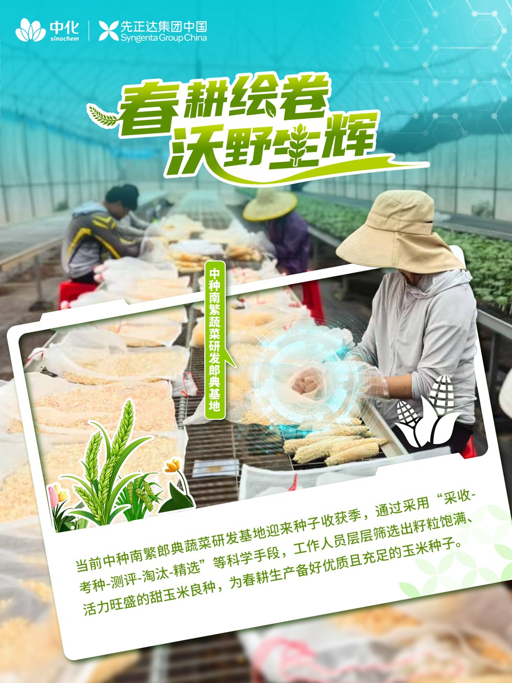 新宝GG—创造奇迹平台