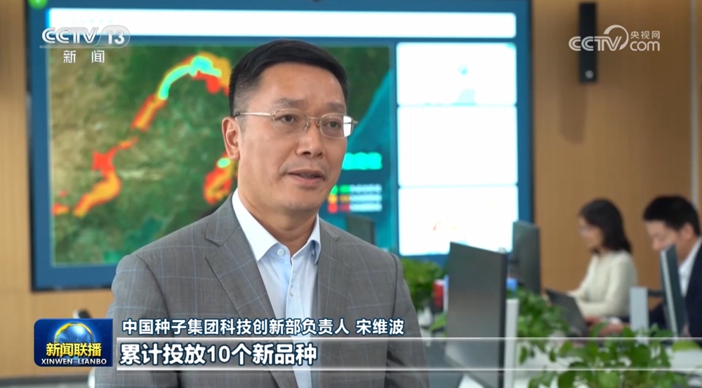 宋总