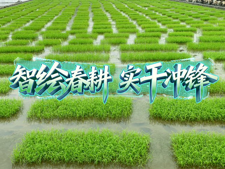 良种添动力，开启春耕“种”动员