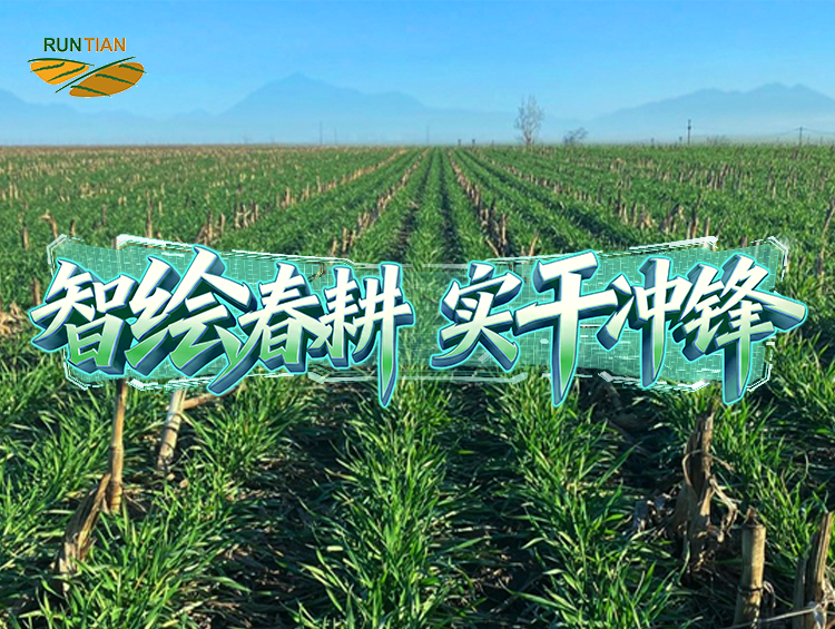 “润田”六年：让土壤“活”起来，让产量“提”上去