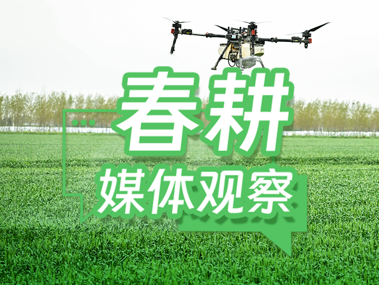 迎“大考”闯“三关”，筑牢小麦稳产防线